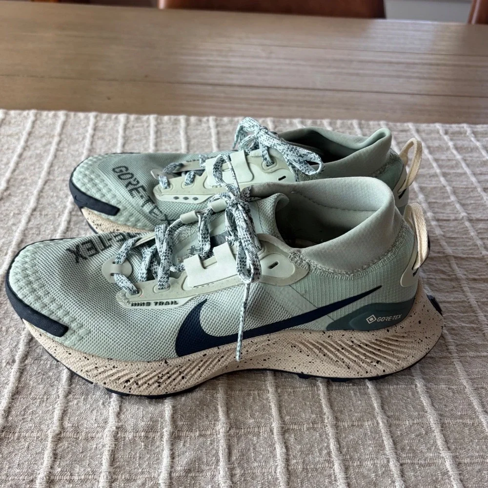 Nike Pegasus Trail 3 Gore-Tex shoes  Seagram Sz 7